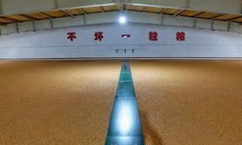 &#80;&#84;&#30495;&#20154;&#65288;&#20013;&#22269;&#65289;&#23448;&#26041;&#32593;&#31449;