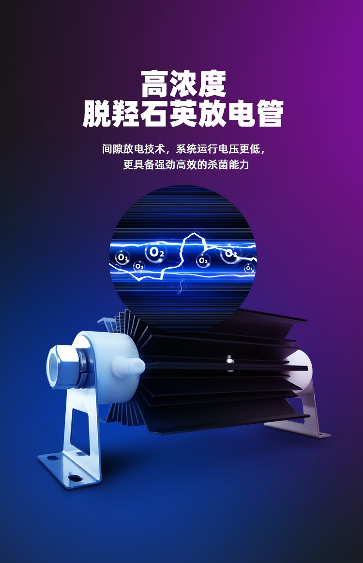 &#80;&#84;&#30495;&#20154;&#65288;&#20013;&#22269;&#65289;&#23448;&#26041;&#32593;&#31449;